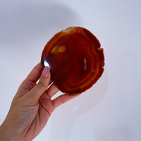 אגת אדומה להגנה וכח