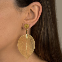 עגילי לוסיל