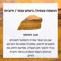 סט מזל אריה