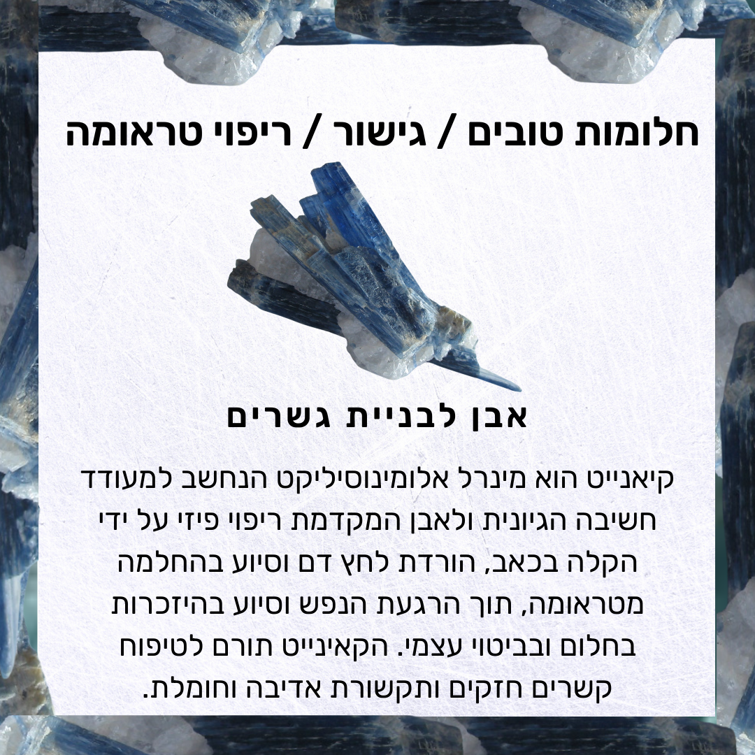 עגילי אריקה