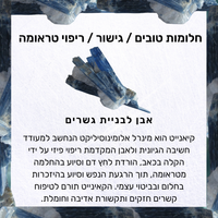 צמיד אריקה