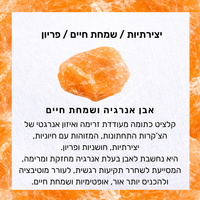 טבעת אורורה