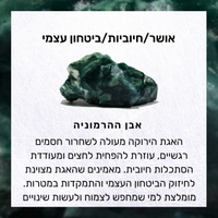 טבעת איימי