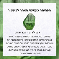 שרשרת יאמנג׳ה