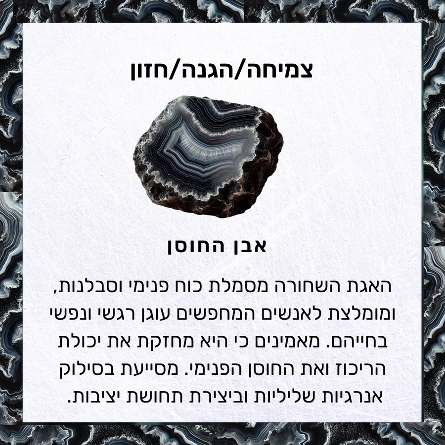 מחזיקי ספרים