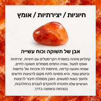 צמיד קרנליאן