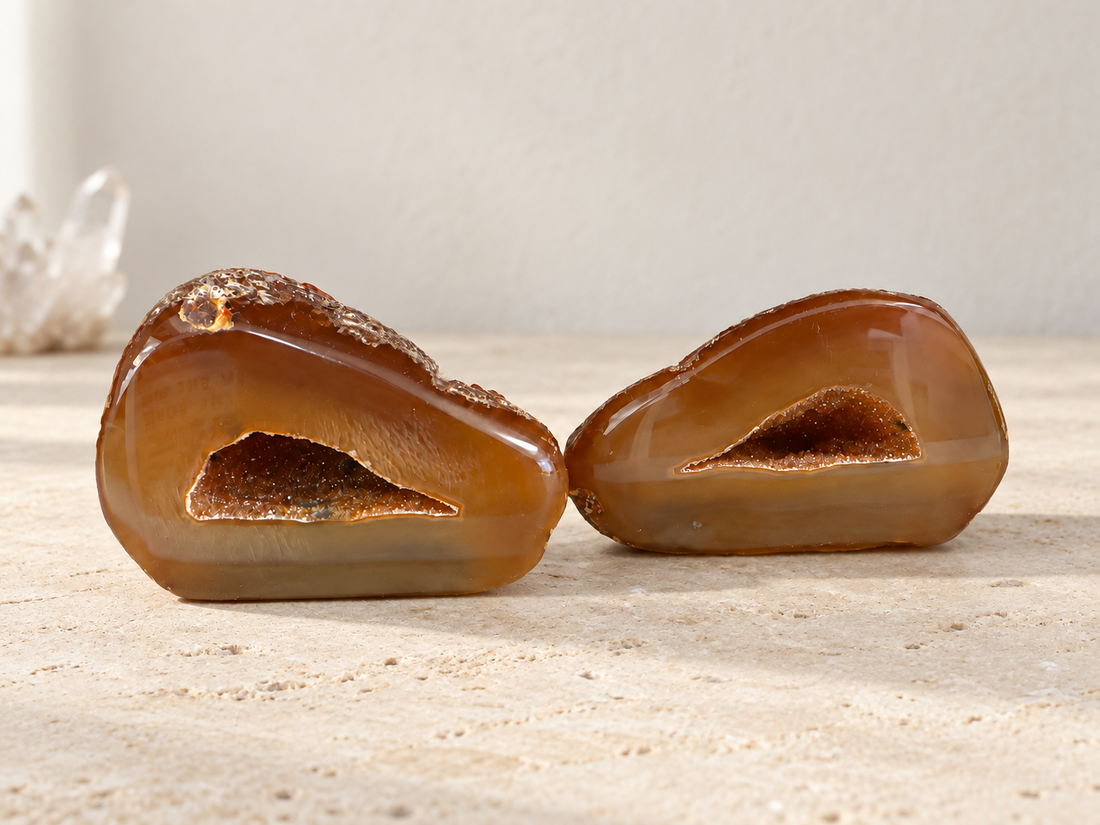 תיבת נח - זוגות אגת ג׳אוד