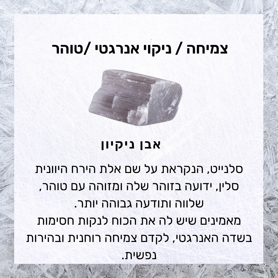 טבעת אריקה