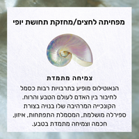 סט פרפר